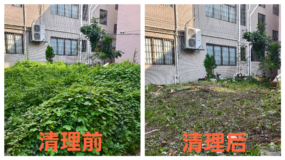 已编辑图片